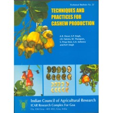 Techniques & Practices for Cashew Production India